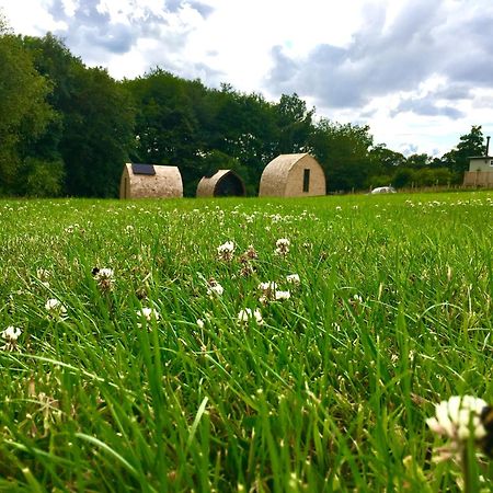 Alder Pod, Clay Bank Huts Hotel Ingleby Greenhow Luaran gambar