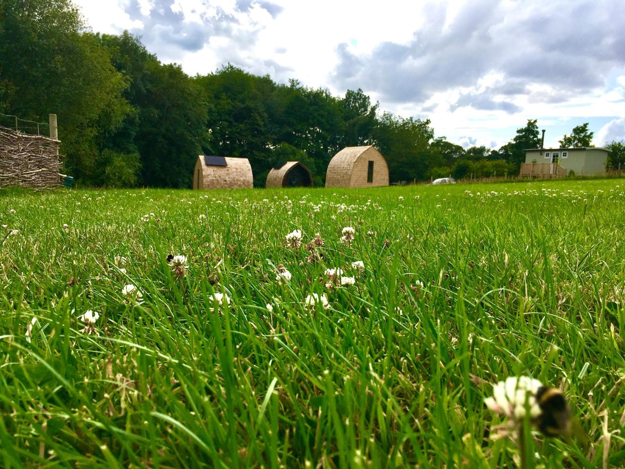 Alder Pod, Clay Bank Huts Hotel Ingleby Greenhow Luaran gambar